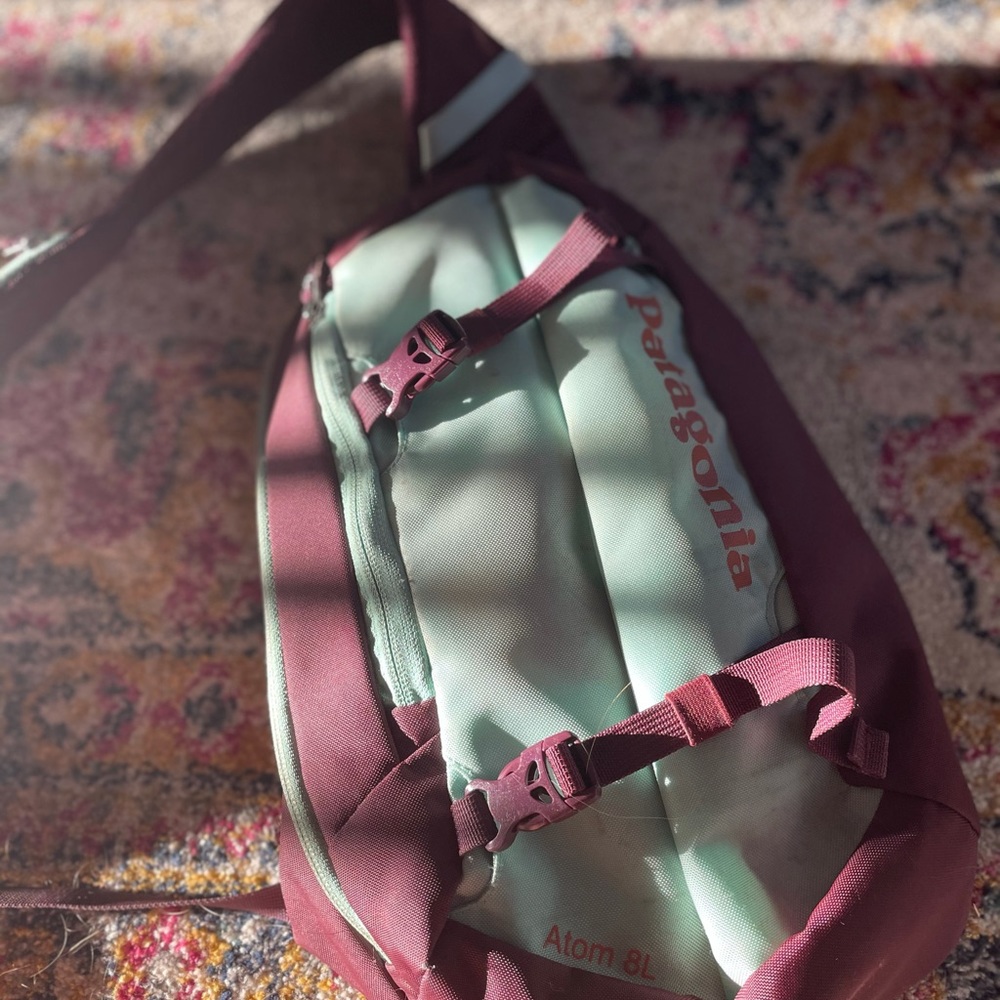 Patagonia 8L sling